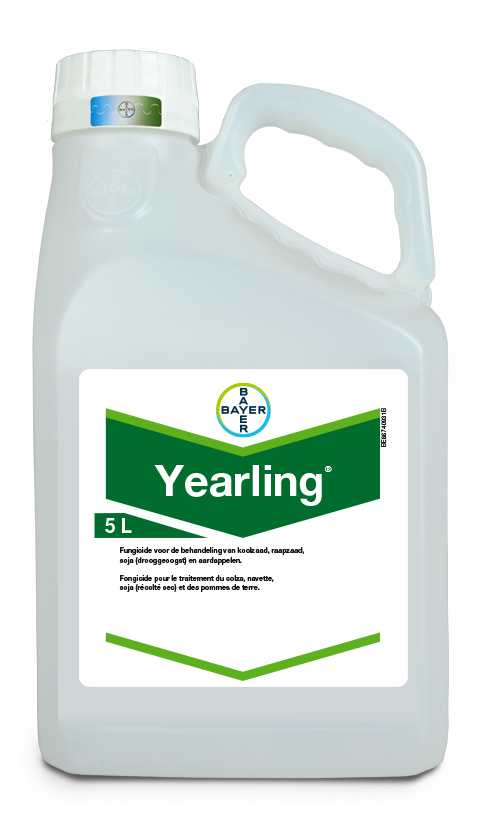 Yearling